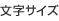 文字サイズ